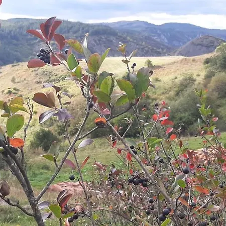 Biserna Dolina Uvac Casă la țară