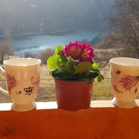 Biserna Dolina Uvac *