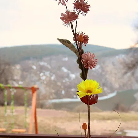 Casă la țară Biserna Dolina Uvac *