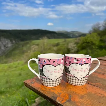 Country house Biserna Dolina Uvac Sjenica